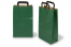 Bolsas de papel con asas planas - verde, 220 x 105 x 360 mm | PIT Packaging.es | Paisdelossobres